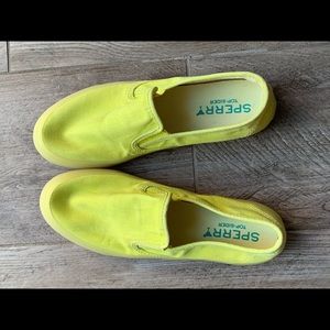 Sperry’s sneakers